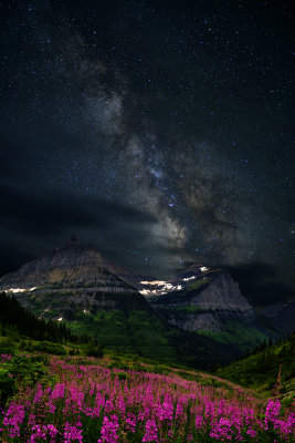 MT - Glacier Fireweed Nightsky.jpg