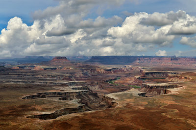 UT - Canyonlands NP Green River Overlook Midmorning.jpg