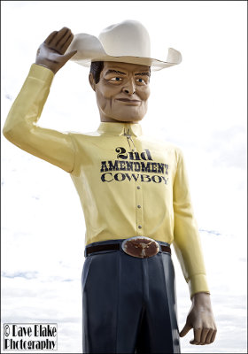 812866 2nd Amendment Cowboy Amarillo TX 2018