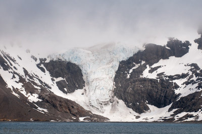 Glacier in King Haakon Bay 