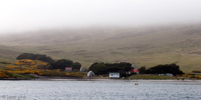 Carcass Island Settlement