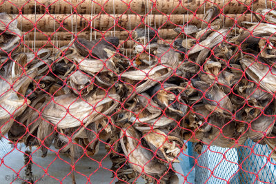 Dried Cod Heads - Gedroogde Kabeljouwkoppen