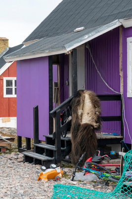 House with Muskox hide - Huis met muskusos vacht