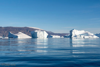 Icebergs - IJsbergen