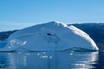 Snakehead Iceberg - Slangenkop IJsberg