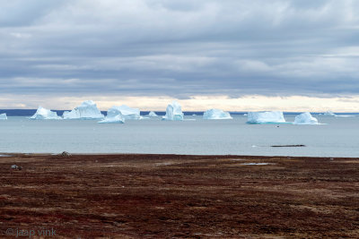 Icebergs near Sydkap - IJsbergen bij Sydkap