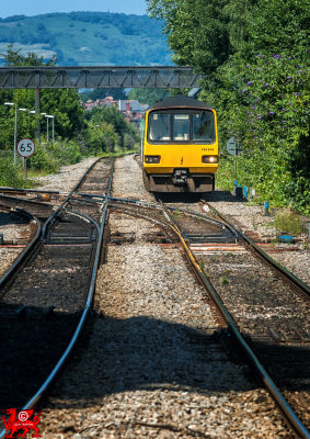 060715-12-Edit.jpg