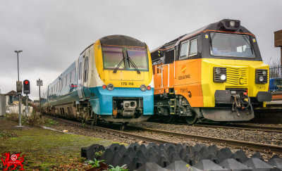 171203_003-Edit-Edit.jpg