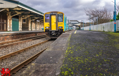 190127_007-Edit.jpg