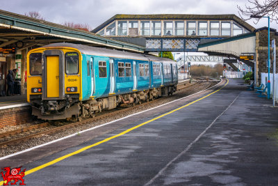 190127_021-Edit.jpg