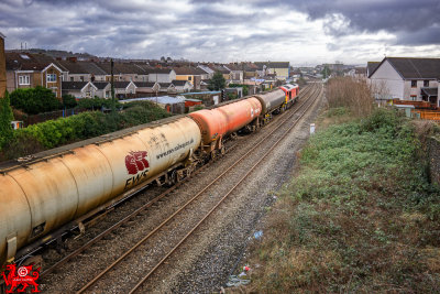190204_014-Edit.jpg