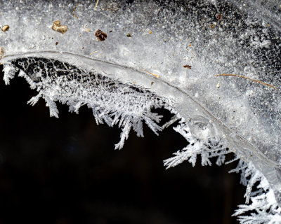 The tiny ice spicules on the edge reminded me of lace doilies.