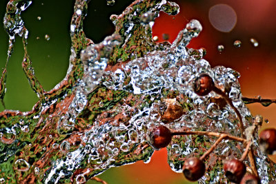 Life Water DSC_0898x24072015pb