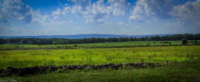 Picketts Charge