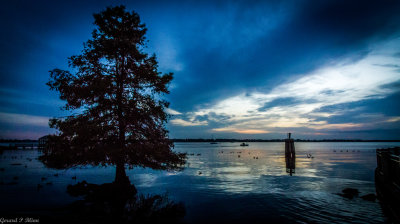 New Bern NC