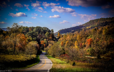 Happy Hills