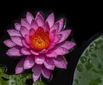g12/40/567740/3/171213830.s3IRR2uc.jpg