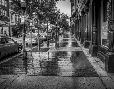 Rainy Savannah Sidewalk