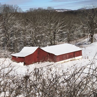 february_2021