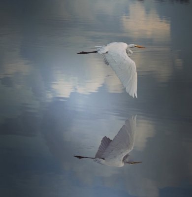 In the Clouds