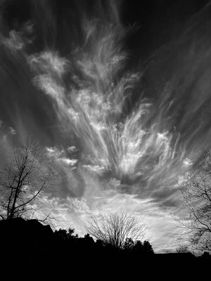 Winter Big Sky