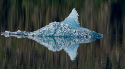 Alaskan iceberg