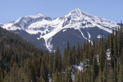 g12/40/58640/3/169100391.nrMqWHK8.jpg
