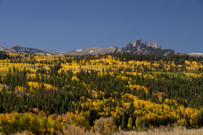 2019 Colorado Fall Foliage