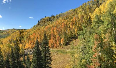 2019 Colorado Fall Foliage