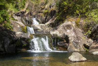 Rapaura Watergardens.