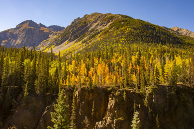 Colorado Fall Foliage 2021