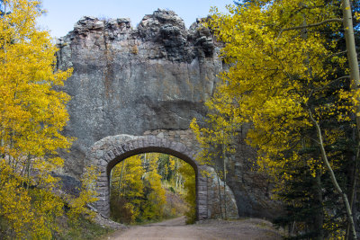 Colorado Fall Foliage 2021