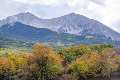 Colorado Fall Foliage 2022