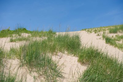 Lake Michigan Sand Dunes-D3S7377.jpg