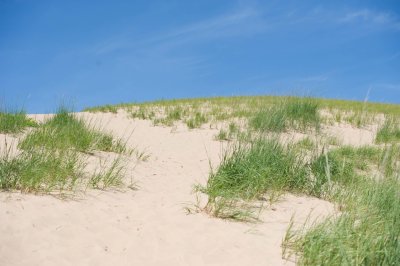 Lake Michigan Sand Dunes-D3S7380.jpg