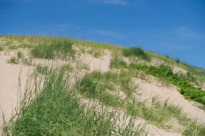 Lake Michigan Sand Dunes-D3S7381.jpg