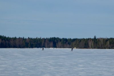 20190223