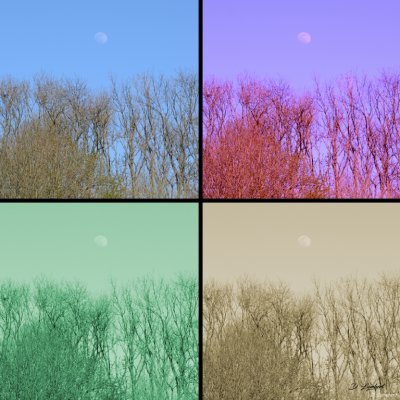 Sem13 Montage 2021_003 (1024x768).jpg