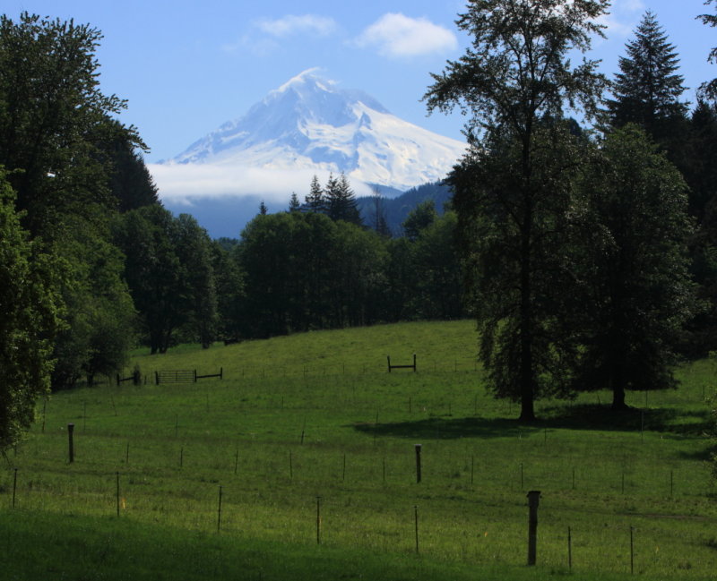 Mt Hood