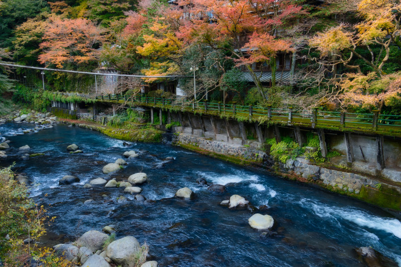 Fuji Autumn