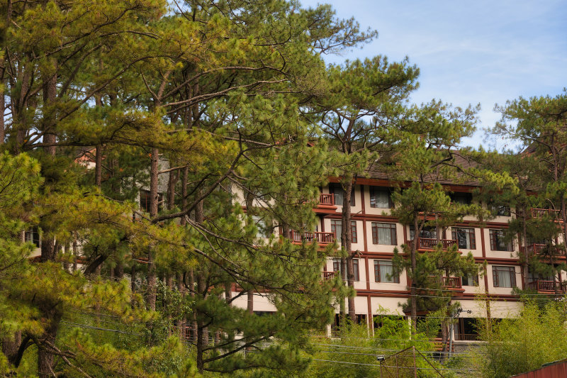 JCR68819-CR3.jpg