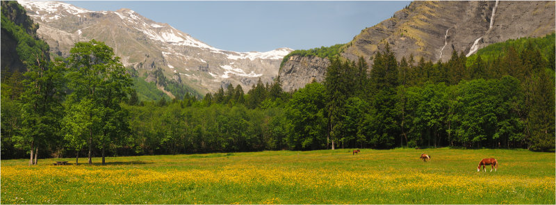 07. Mountain Meadow.jpg