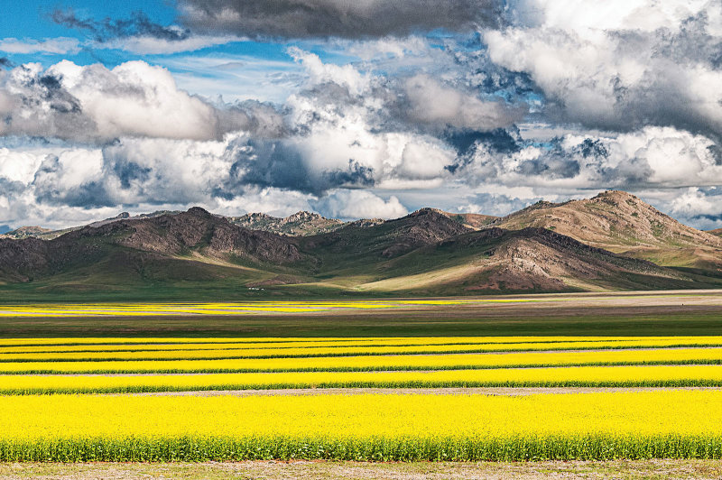 11. Spring in Mongolia.jpg