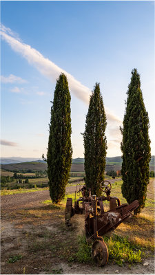 18 - Tuscan trees.jpg