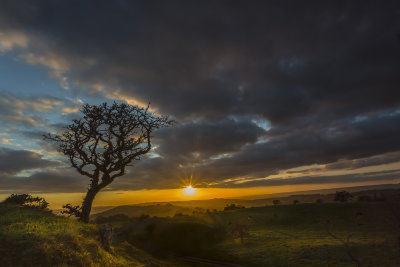 03 - Black mountain sunset - Trevor Waters.jpg