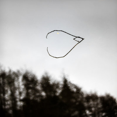 17 - Nature Lover - Rhidian Morgan.jpg