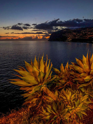 28 - Madiera Sunset - Arthur Mallett.jpg