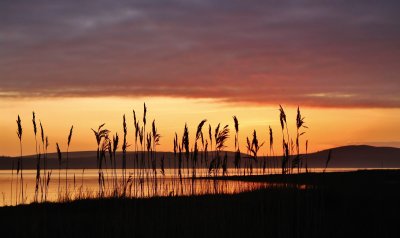 38 - Tranquility - Carole Ann Smith.JPG