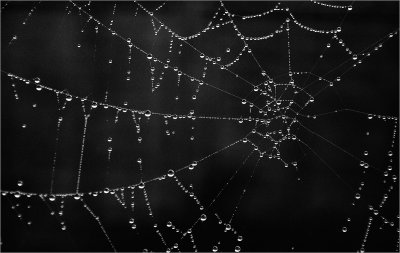 04 - A String of Pearls.jpg