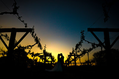 06 - In the vineyard